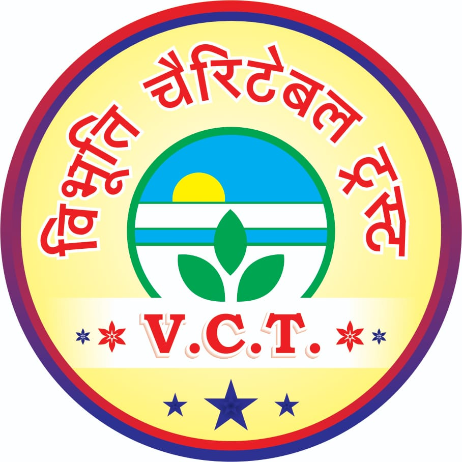 VCT Logo